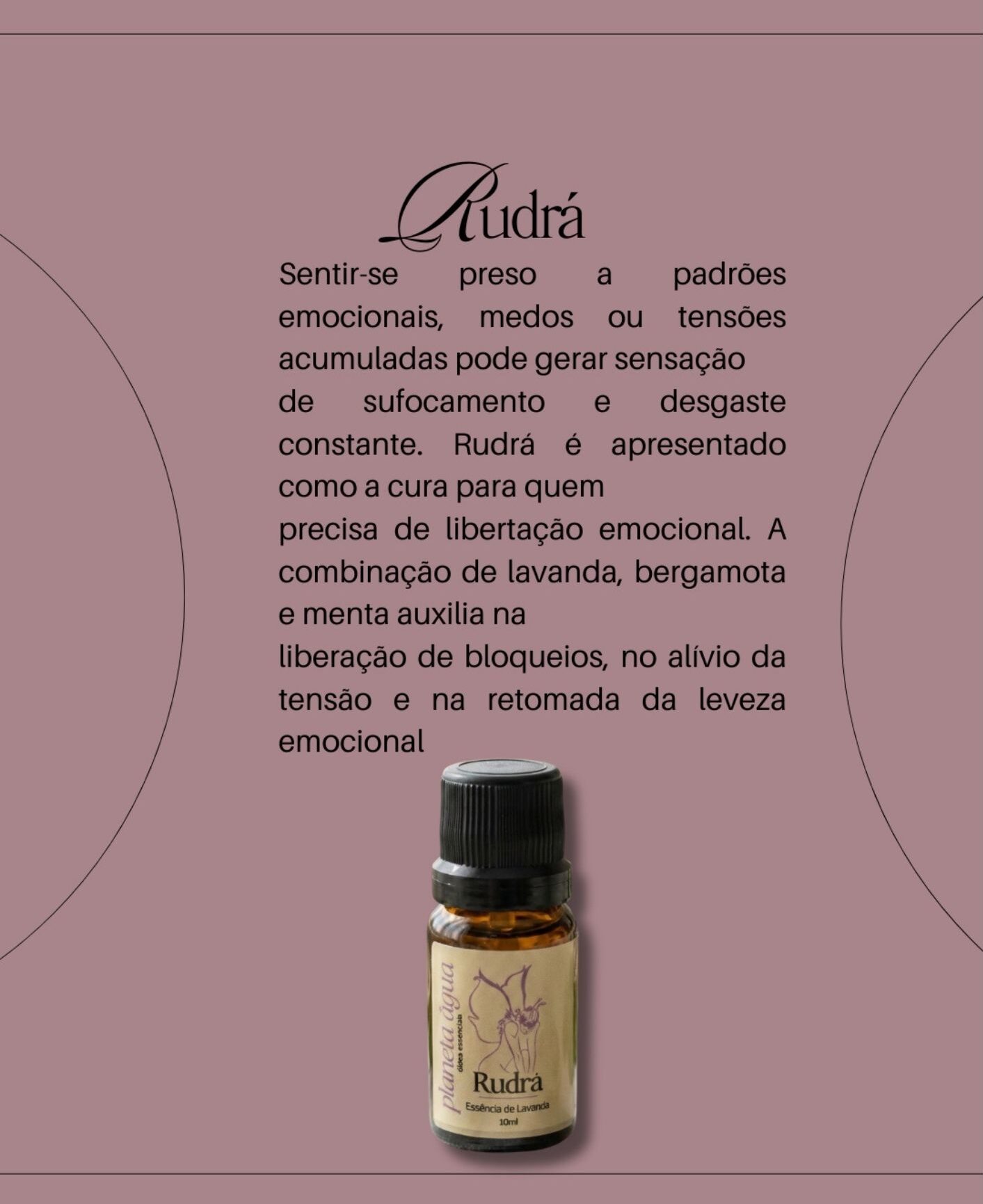 RUDRÁ - Essência de Lavanda rudrÁ essência de lavanda