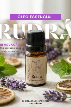 rudrÁ essência de lavanda