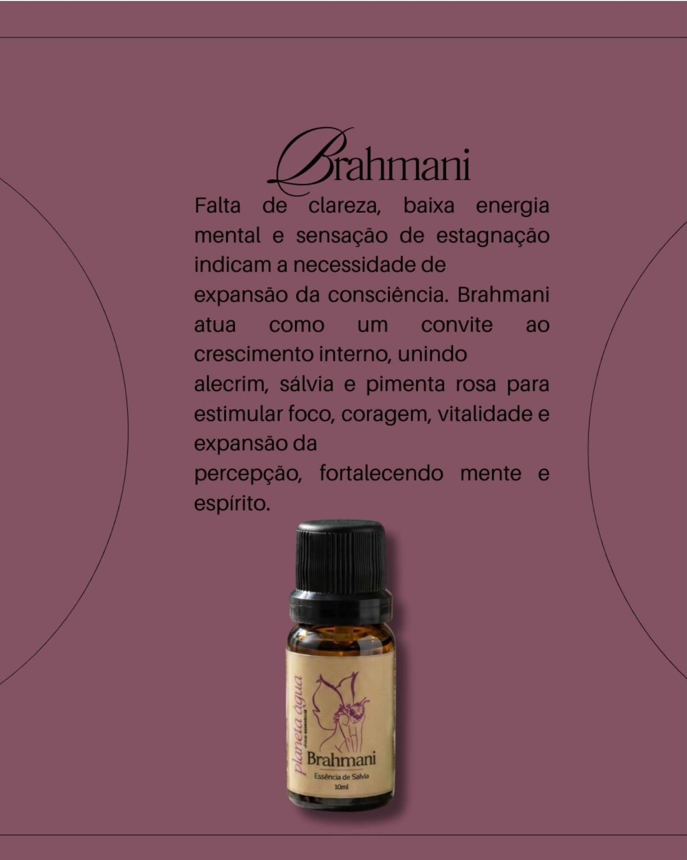 BRAHMANI - Essência de Salvia brahmani essência de salvia